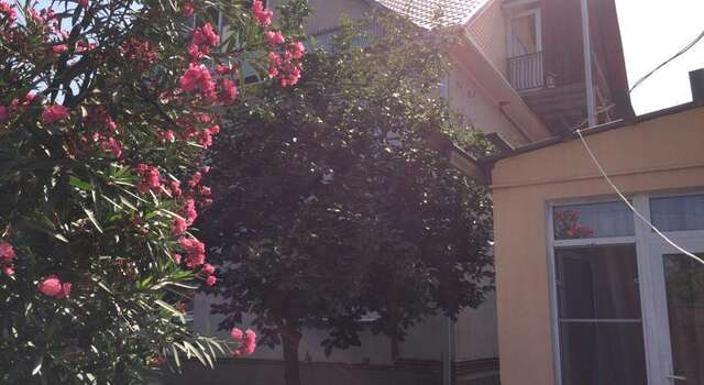 Гостиница Gostevoy Dom "Олимпийский"  Адлер-35