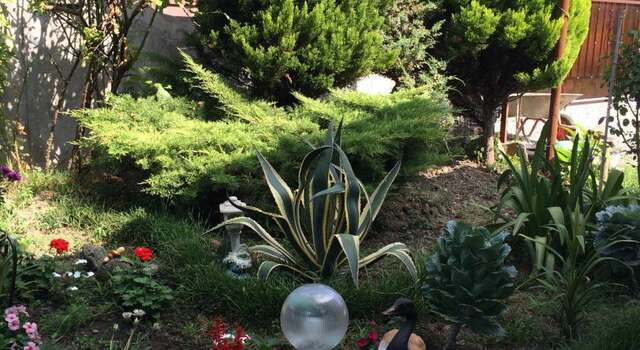 Гостиница Gostevoy Dom "Олимпийский"  Адлер-38